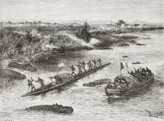 Französische und britische Entdecker jagen Nilpferde am Kongo-Fluss im 19. Jahrhundert, aus 
